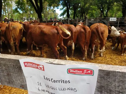 tn_IMG_20231129_144018150