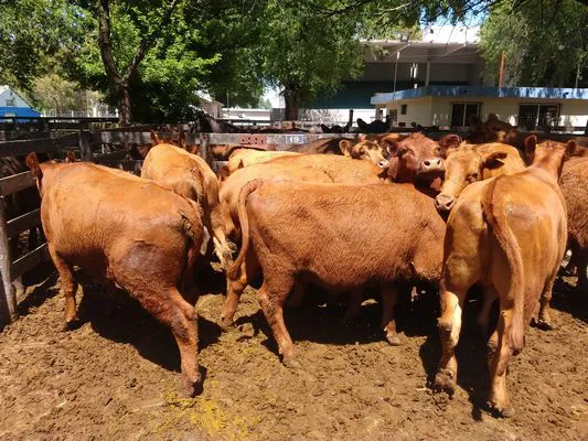 tn_IMG_20231127_112455539