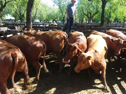 tn_IMG_20231108_154316981