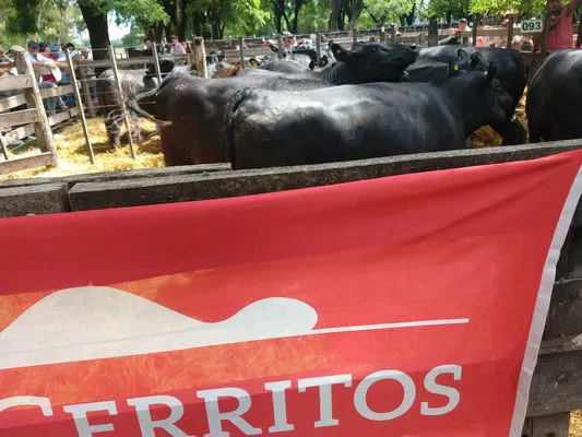 tn_IMG_20231129_151000887