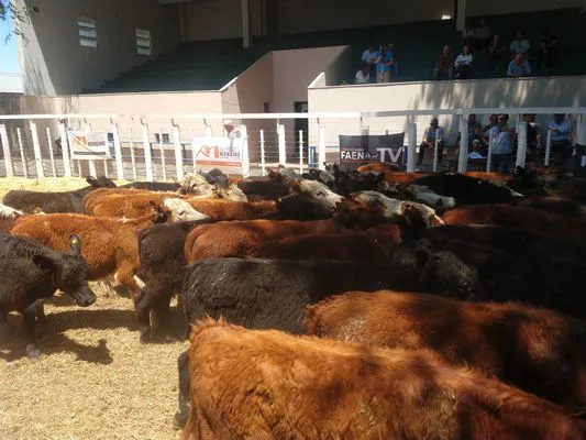 tn_IMG_20231127_122724256