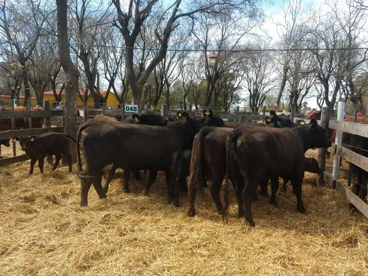 tn_IMG_20230928_145324187