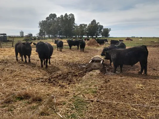 tn_IMG_20230909_131533996_HDR