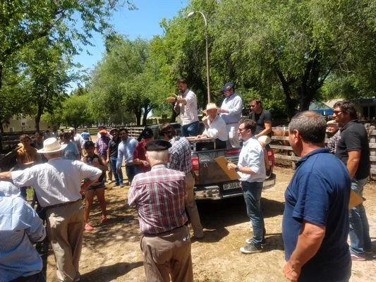 tn_IMG_20231127_113721230