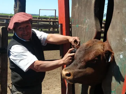 tn_IMG_20231116_105656450