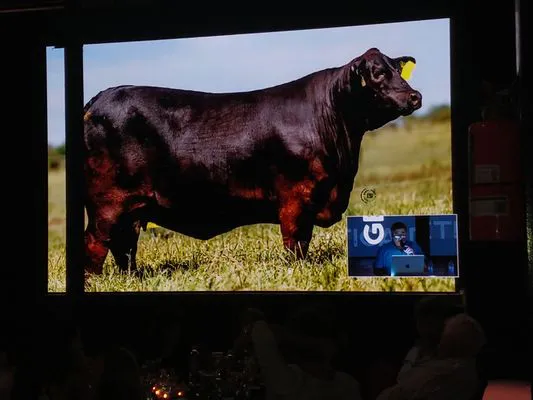 tn_IMG_20231129_001849810