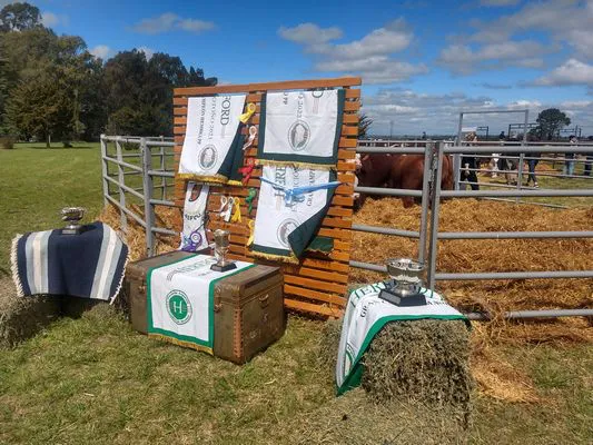 tn_IMG_20230929_141609577_HDR