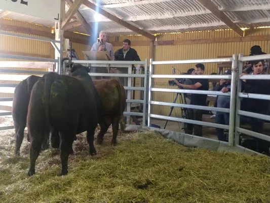 tn_IMG_20230928_131106477