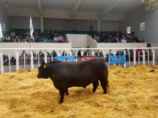 tn_IMG_20230922_144157551_HDR