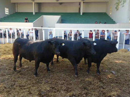 tn_IMG_20231108_160514242