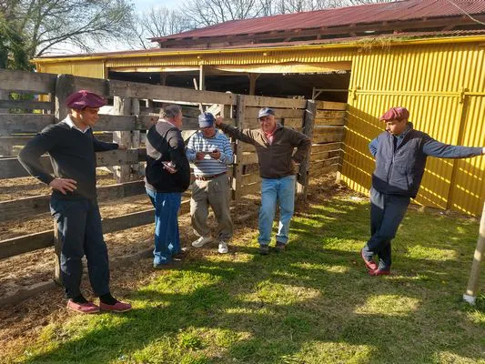 tn_IMG_20230928_172316260_HDR