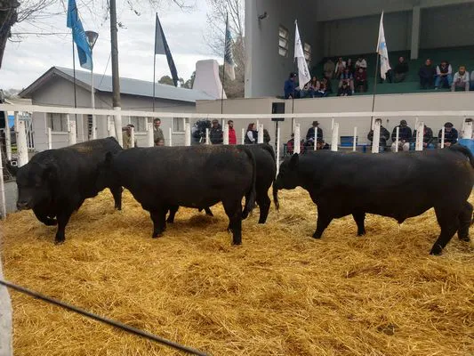 tn_IMG_20230922_161016928_HDR