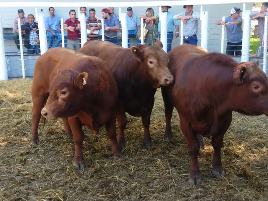 tn_IMG_20231108_160941649