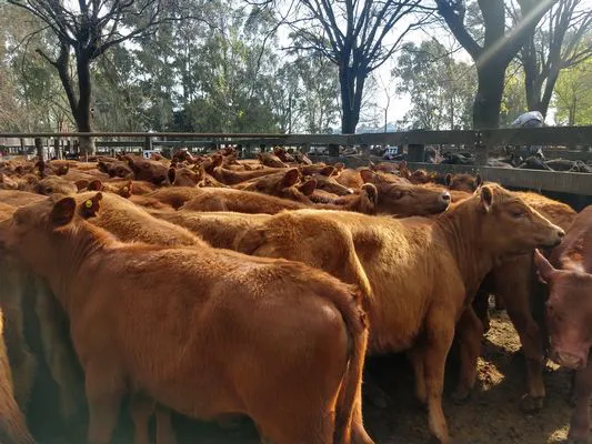 tn_IMG_20230928_163247974_HDR