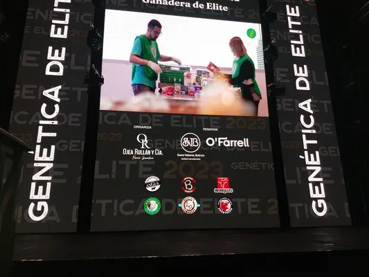 tn_IMG_20231128_205251779