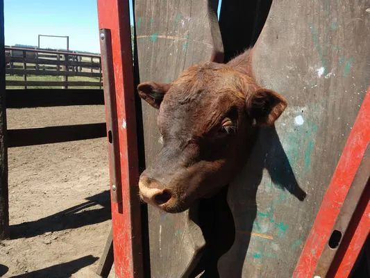 tn_IMG_20231116_105625829