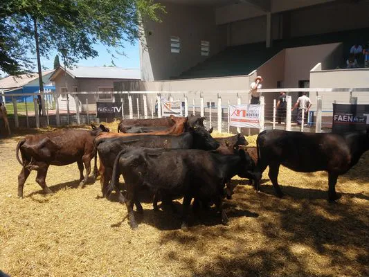 tn_IMG_20231127_124343732