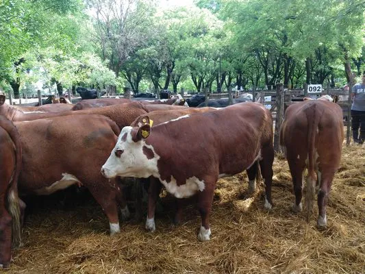 tn_IMG_20231129_151229602