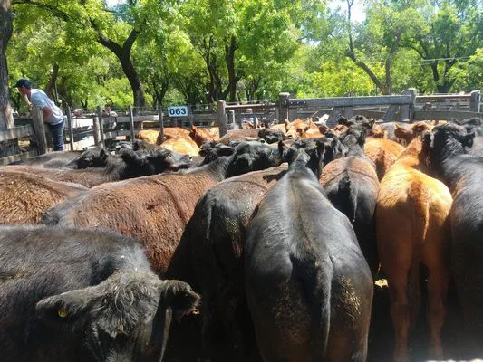 tn_IMG_20231122_143000039