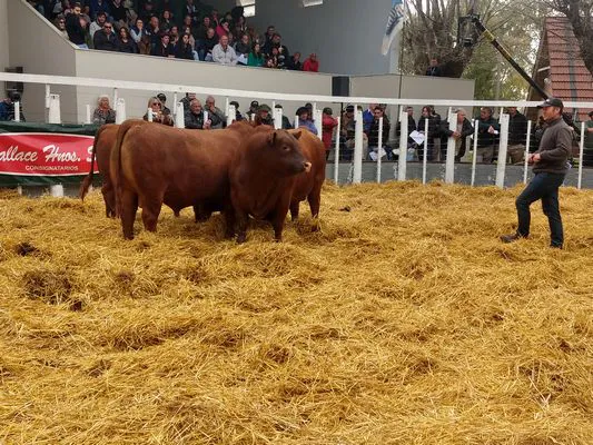 tn_IMG_20230922_154419596_HDR