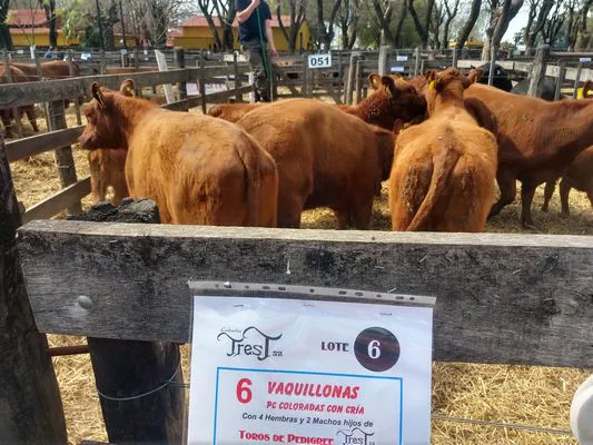 tn_IMG_20230928_144851054_HDR