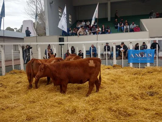 tn_IMG_20230922_152607714_HDR