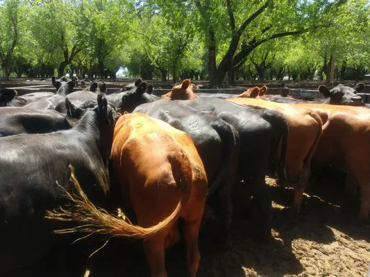 tn_IMG_20231127_113723743