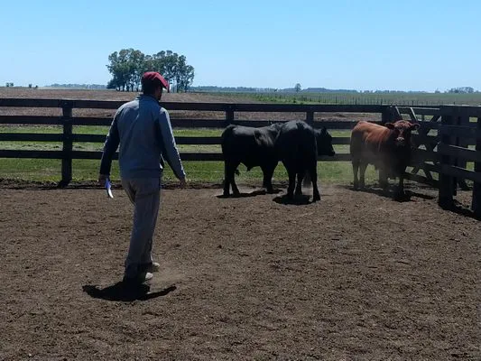 tn_IMG_20231116_110848888