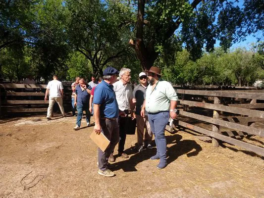 tn_IMG_20231108_155616212