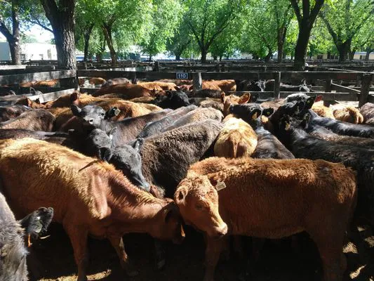 tn_IMG_20231108_154206704