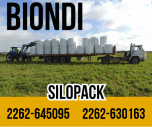 biondi