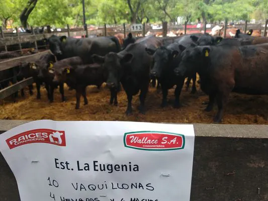 tn_IMG_20231129_143809596