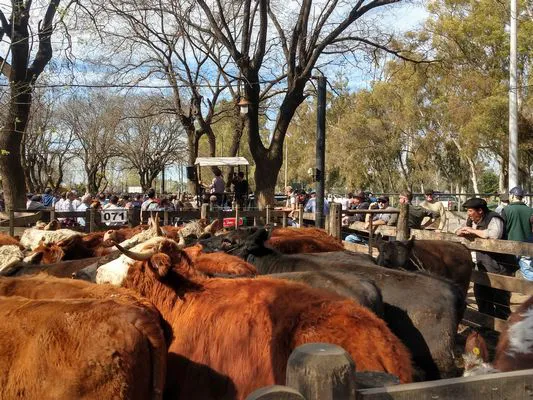 tn_IMG_20230928_152123118_HDR