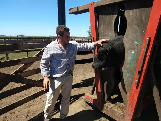 tn_IMG_20231116_110125751