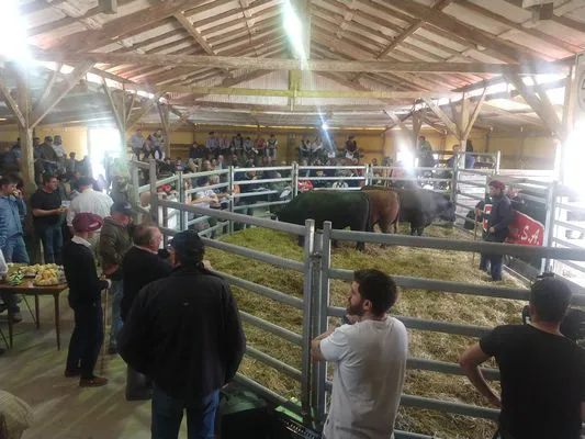 tn_IMG_20230928_131516629