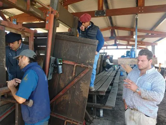 tn_IMG_20231116_112756872