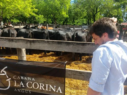 tn_IMG_20231129_152249821