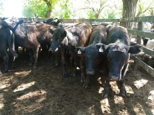 tn_IMG_20231108_151526248