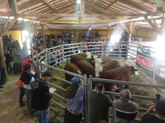 tn_IMG_20230928_141828635