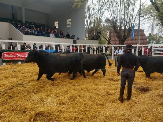 tn_IMG_20230922_161010517_HDR