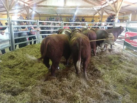 tn_IMG_20230928_141859383