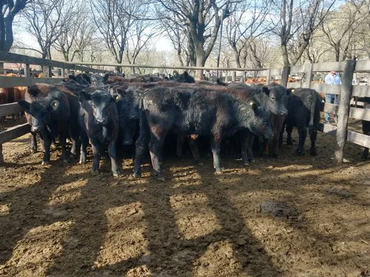 tn_IMG_20230928_164411997_HDR