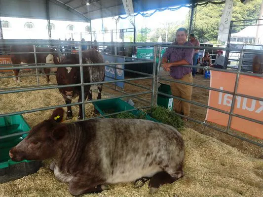 tn_IMG_20231128_175051570