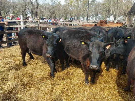 tn_IMG_20230928_145731876_HDR