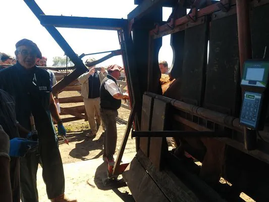 tn_IMG_20231116_105303768