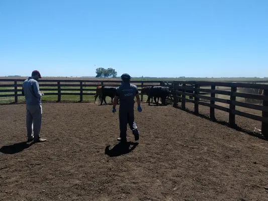 tn_IMG_20231116_104930292