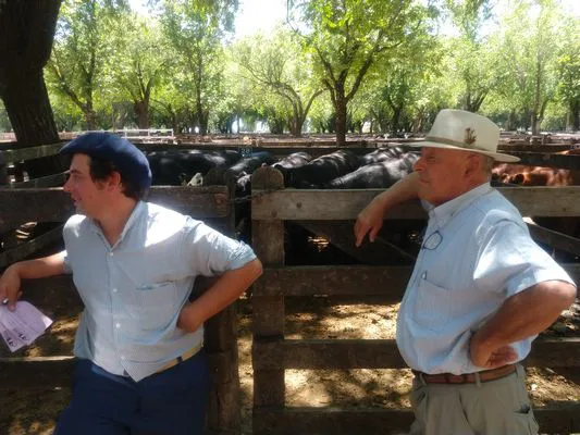 tn_IMG_20231127_113343956