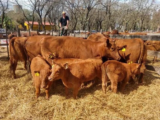 tn_IMG_20230928_144226889_HDR