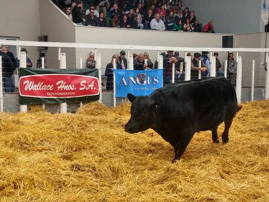 tn_IMG_20230922_145619064_HDR