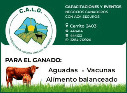 Coop Agraria Banner